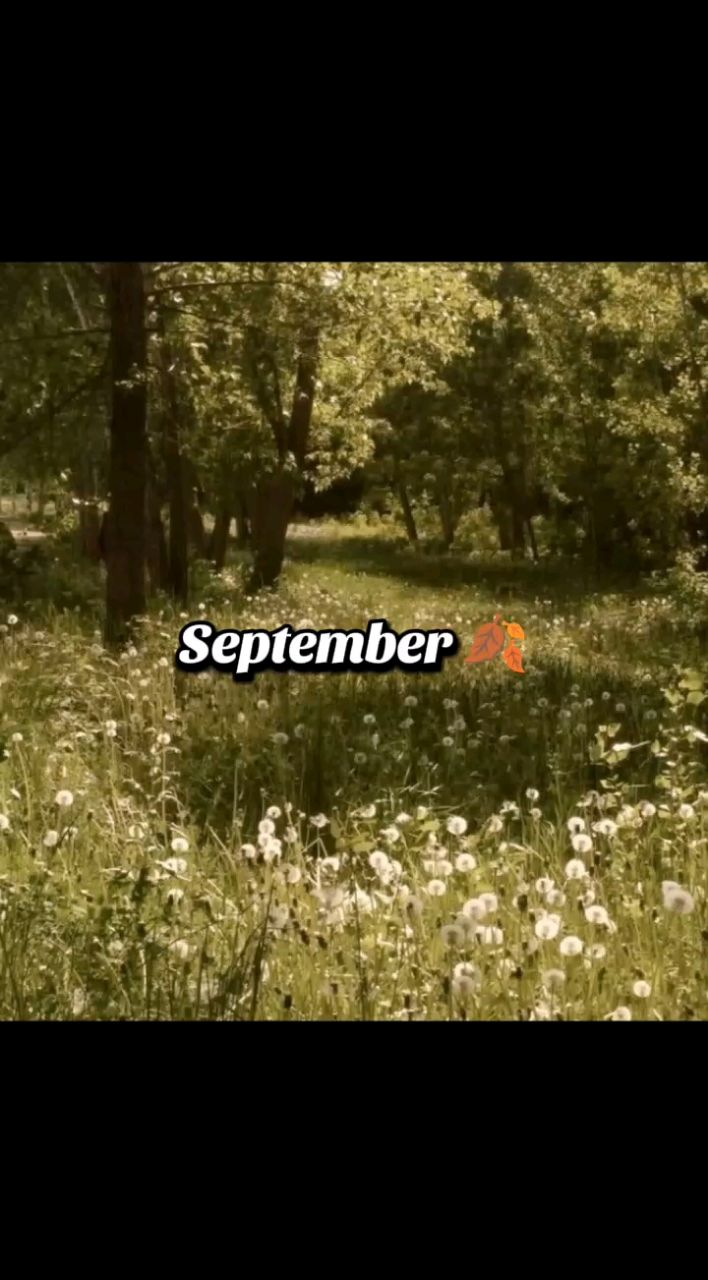 Ariella в LOOKY. #September,#autumn. #September #autumn