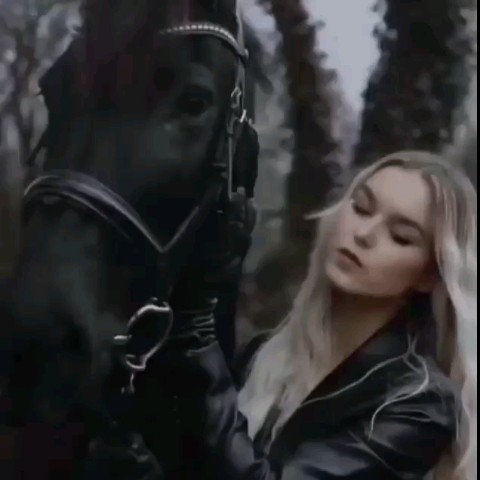 Michelle Miss