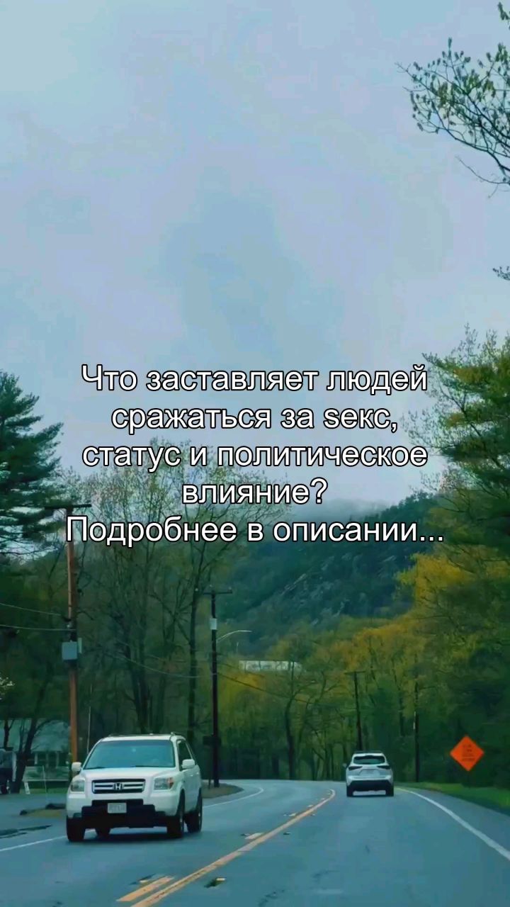 inna_areels в LOOKY. #страх,#психология,#осуждение,#общество,#развитие. Почему ты до сих пор...