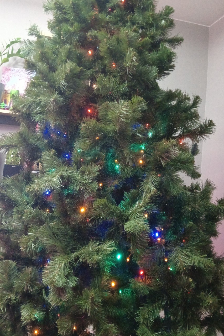 Праздник к нам приходит 🧑‍🎄🎄🎁
