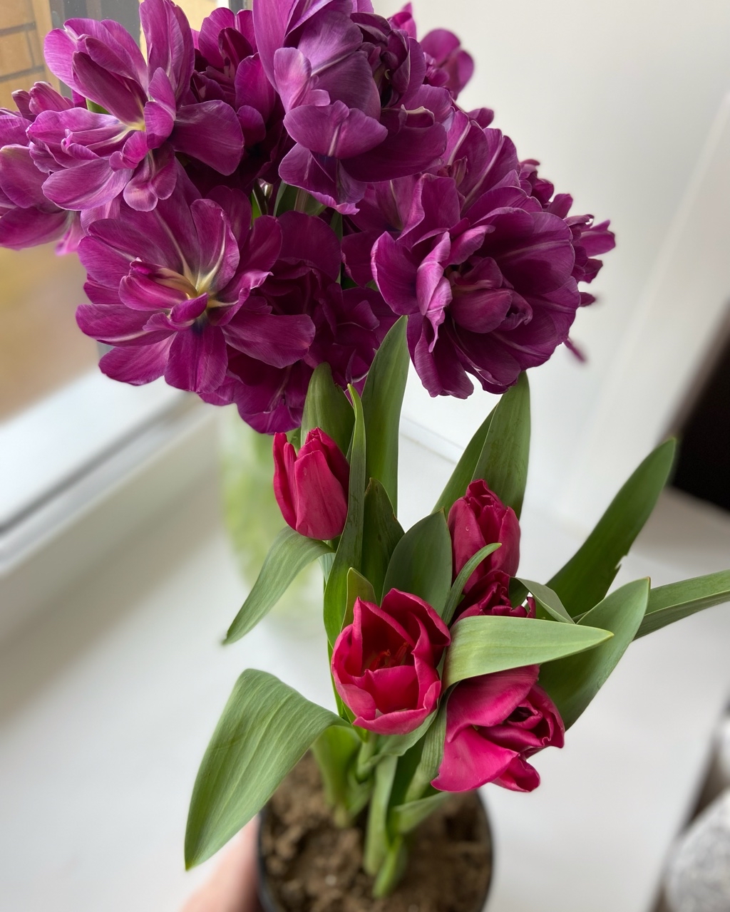 svetinka.blog в LOOKY — фото 4