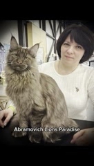 margarita__vasina в LOOKY. . Какой красавец - Абр...