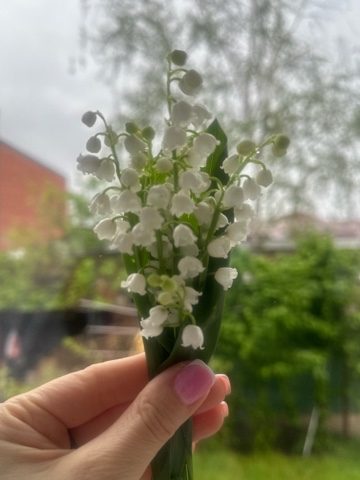 holidays_in_sochi_ в LOOKY. #весна. #весна 💐