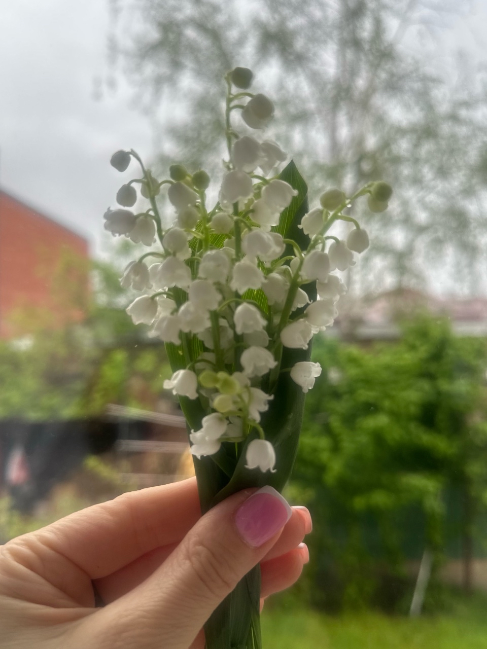 holidays_in_sochi_ в LOOKY — #весна 💐