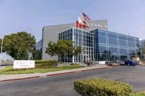 Elon musk в LOOKY. . 