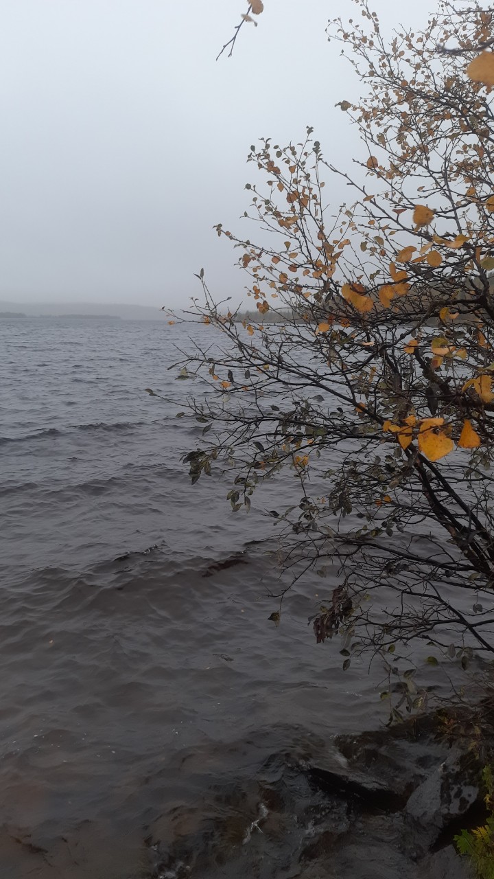 Осень.