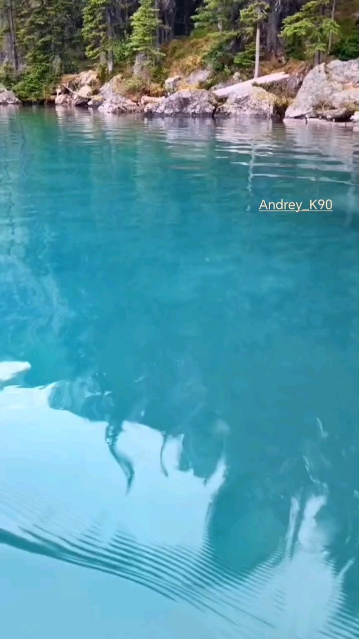 a.n.d.r.e.y_k90 в LOOKY. #тото,#баяноммай,#музыка,#релакс,#бояноммай. Тото_Баяноммай mix.
...