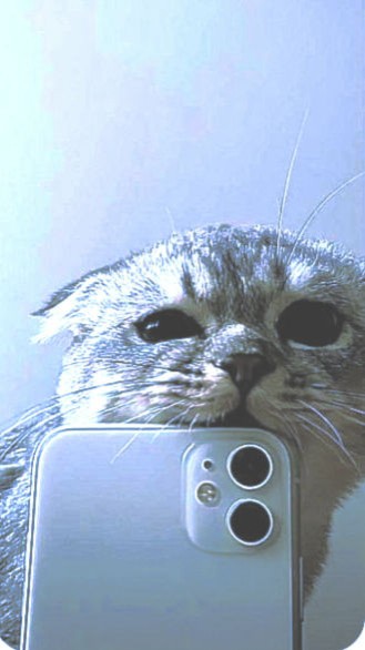  в LOOKY — [#люблювинтаж](люблювинтаж) 