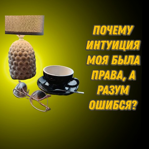 Гоннова Елена в LOOKY. #инструменты. Почему интуиция была...