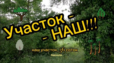 Беру и делаю в LOOKY. #заросшийучасток,#переезднаюг,#беруиделаю. Итак, найдено 🥇перв...