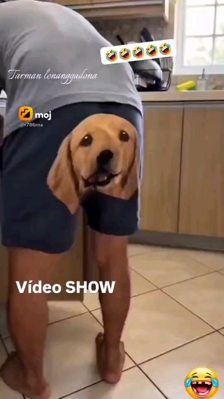 Андрей в LOOKY — публикация
