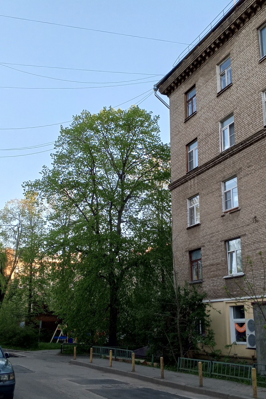 Olguita в LOOKY — публикация