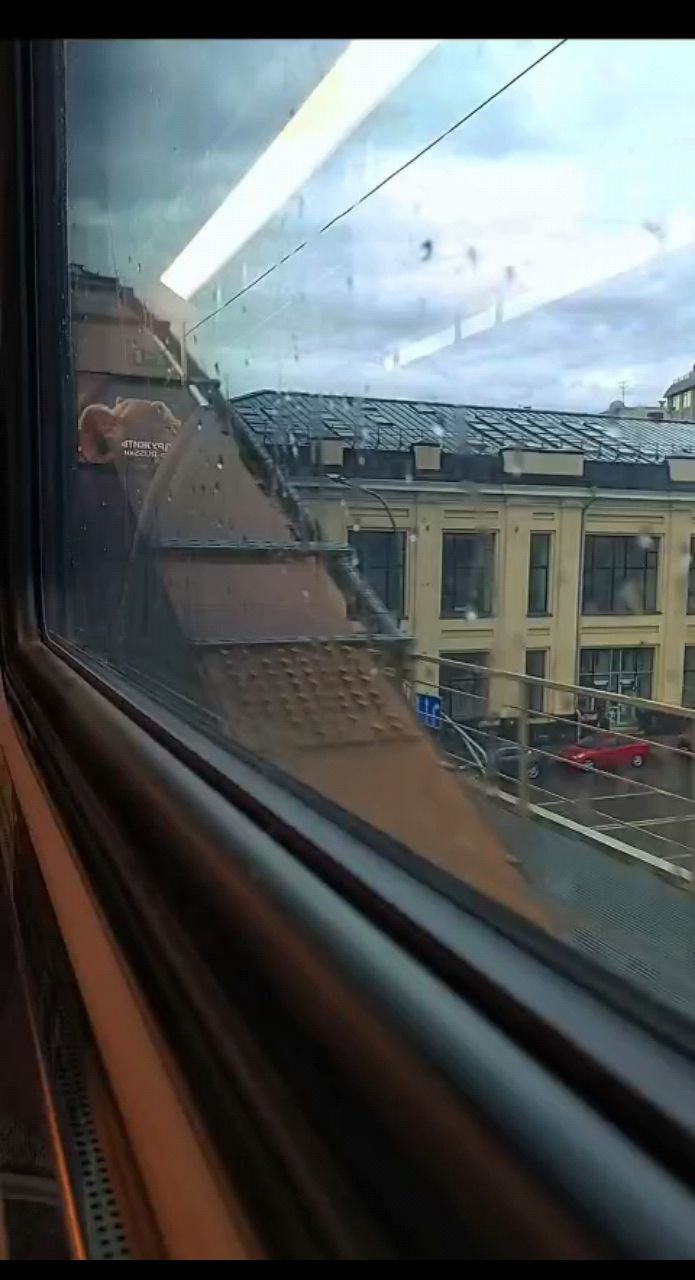 КнЯжнА в LOOKY. . Москва#поездка🚝