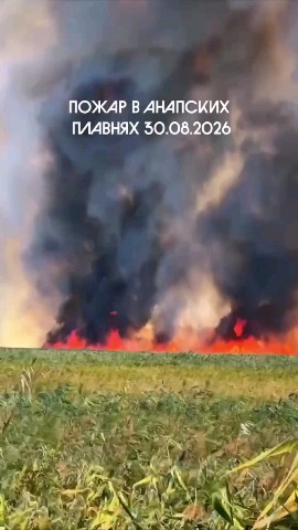 Надежда в LOOKY — 😭😭😭