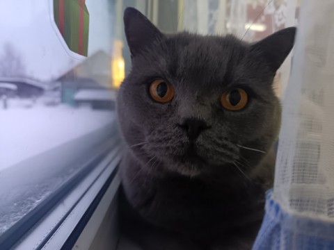 Looky_1718294826810 в LOOKY. . ЖAЛOБA 

Этoй жaлoбo...