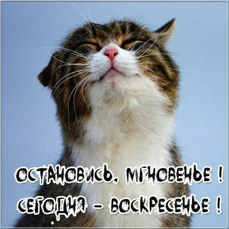 Tatiana Ubushaeva в LOOKY — публикация