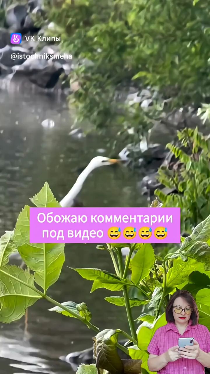 Варг Кастиэль в LOOKY — публикация