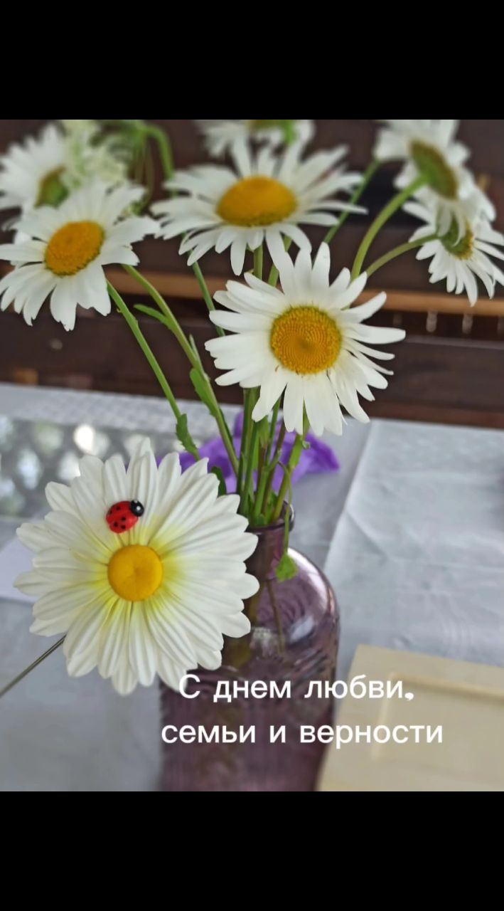 meshina.tat в LOOKY. . 🕊 С Днём семьи, люб...