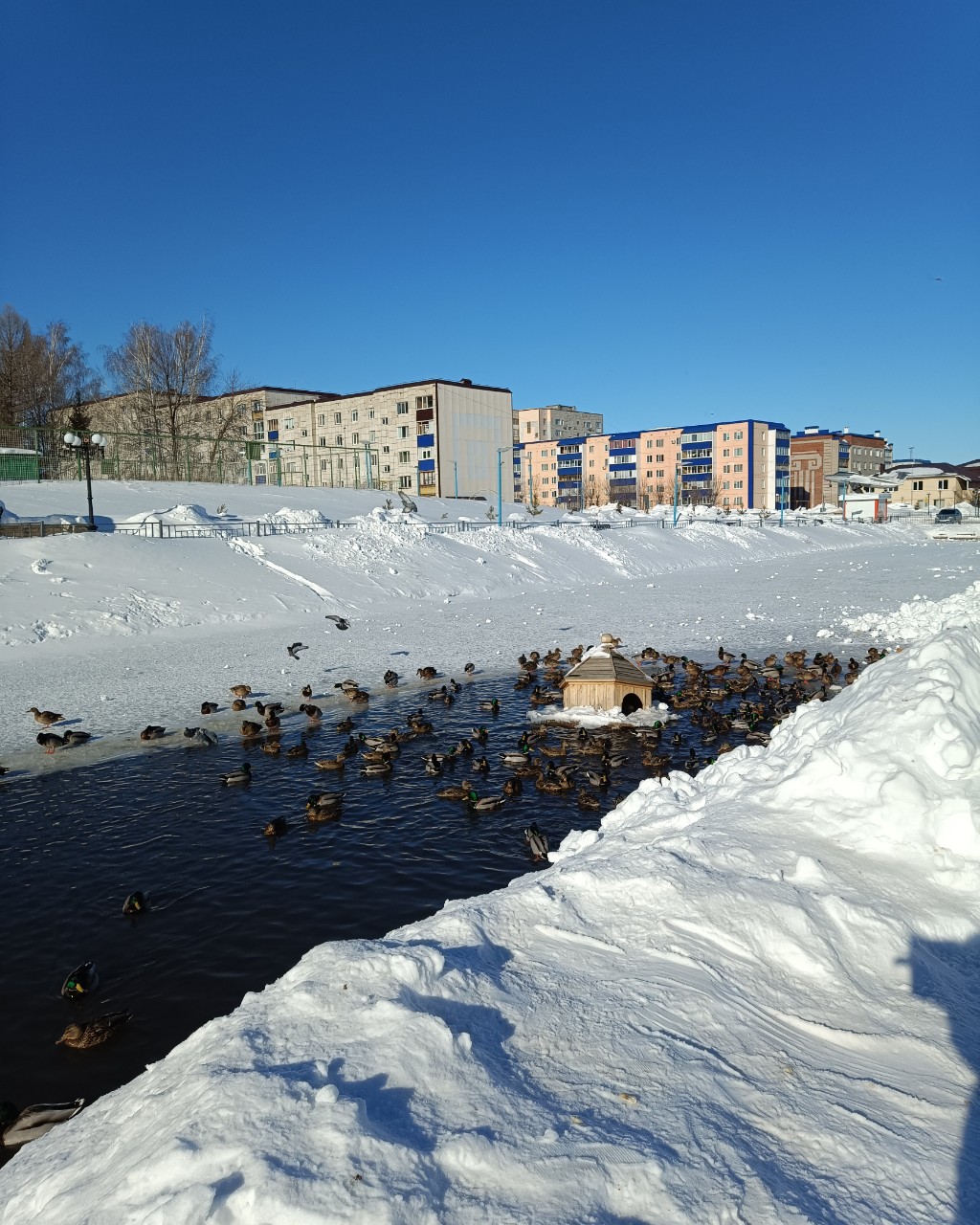 leninogorsk.life