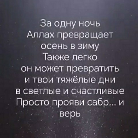 Looky_176788162729133 в LOOKY. . 