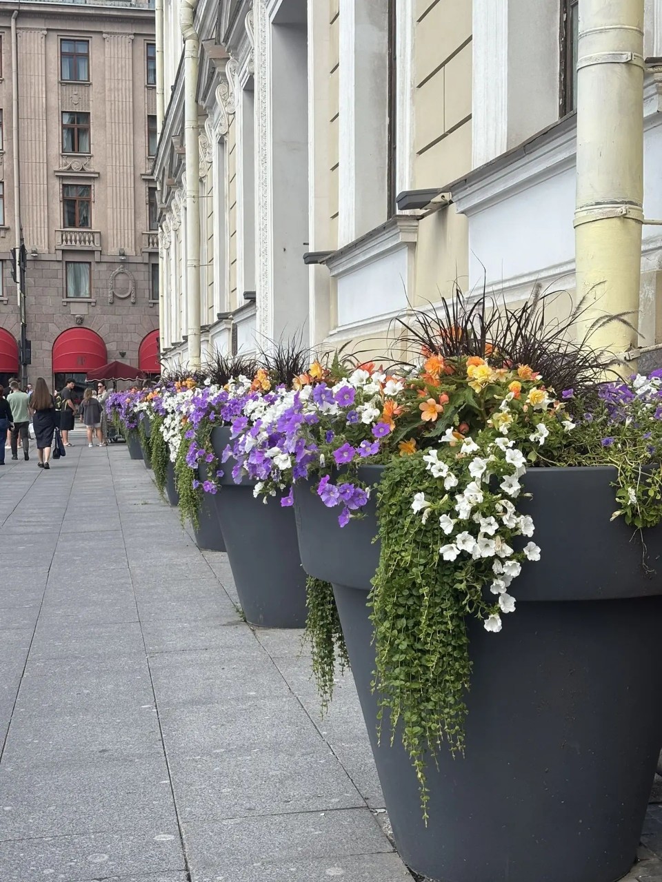 hobby_art в LOOKY — Санкт-Петербург