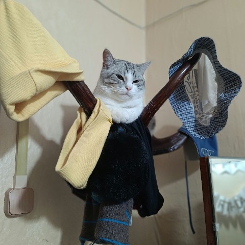 vova_zhyk в LOOKY. . На чиле, на раслабон...