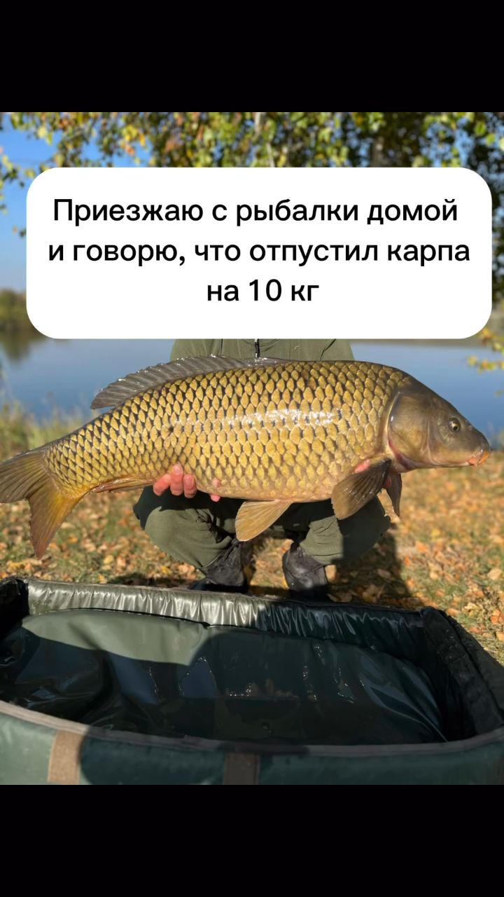 fishingday26 в LOOKY. #рыболовныйдень. #рыболовныйдень