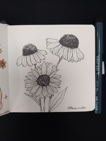 Alexa_creates в LOOKY. #рисунок,#цветы,#линер,#графика,#иллюстрация,#drawing,#flowers,#liner,#graphics,#illustration. Пока нет особо настр...