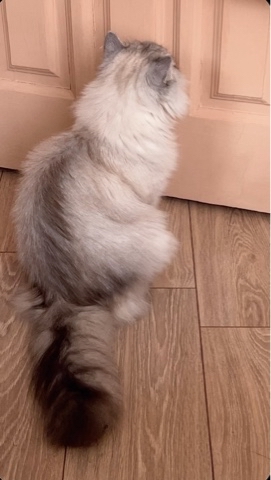 taik19.12.19 в LOOKY. . Без проблем никуда😼