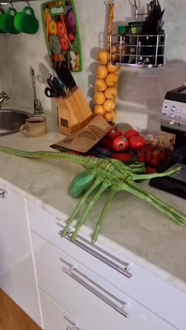 Tik_Tok_BEST в LOOKY. . 