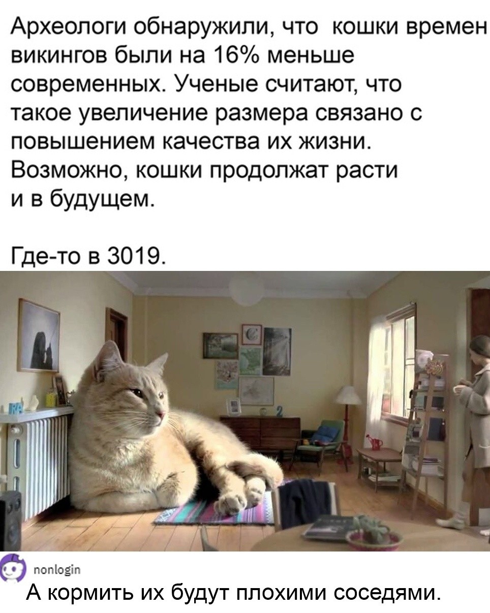 мемная комната в LOOKY — публикация