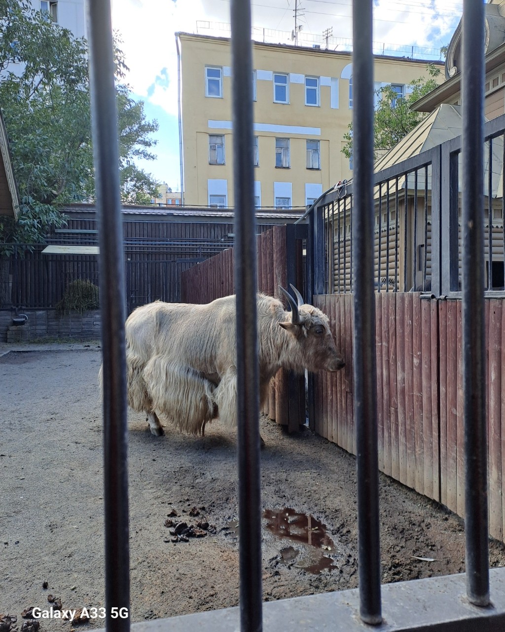 Looky_1681371423793 в LOOKY — фото 5