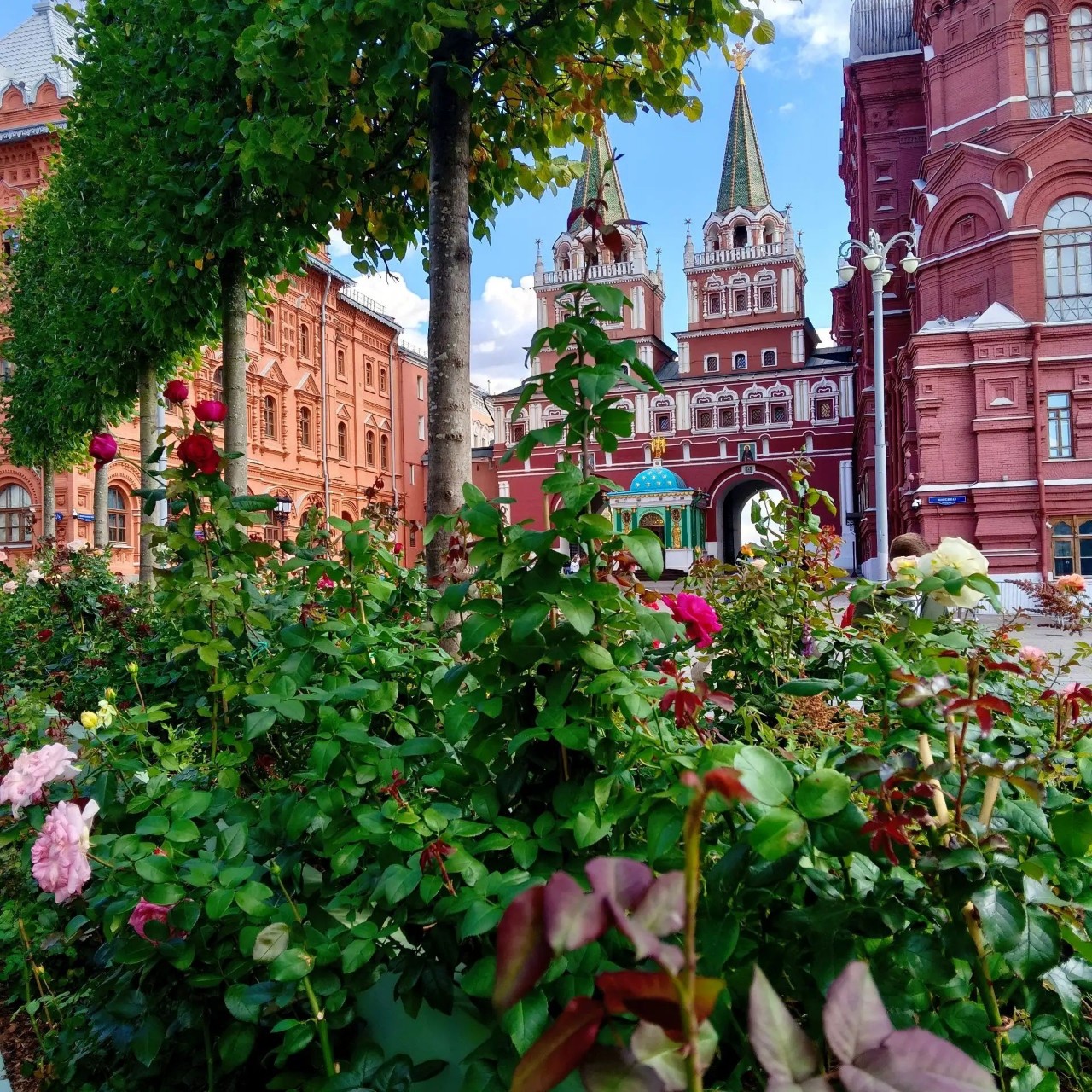 До днесь на Манежной площади всё ещё можно любоваться розами.

#прогулкипоМоскве #Манежнаяплощадь #розы #розовоенастроение