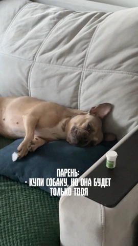 Зина и Майки in LOOKY. #232465954. У кого так же?😂

Пр...