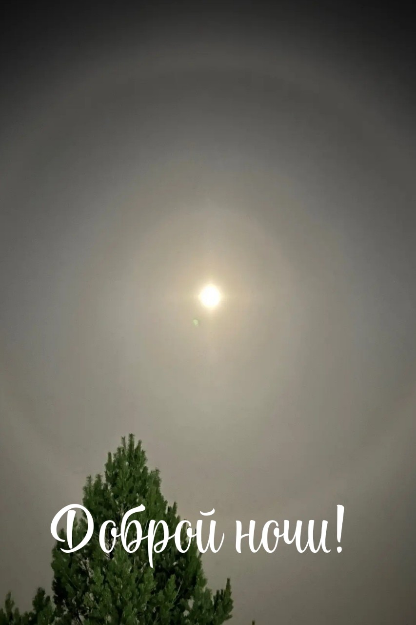 Looky_1670341578322
