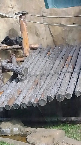 just_yana в LOOKY. . Мы в зоопарке 🙂