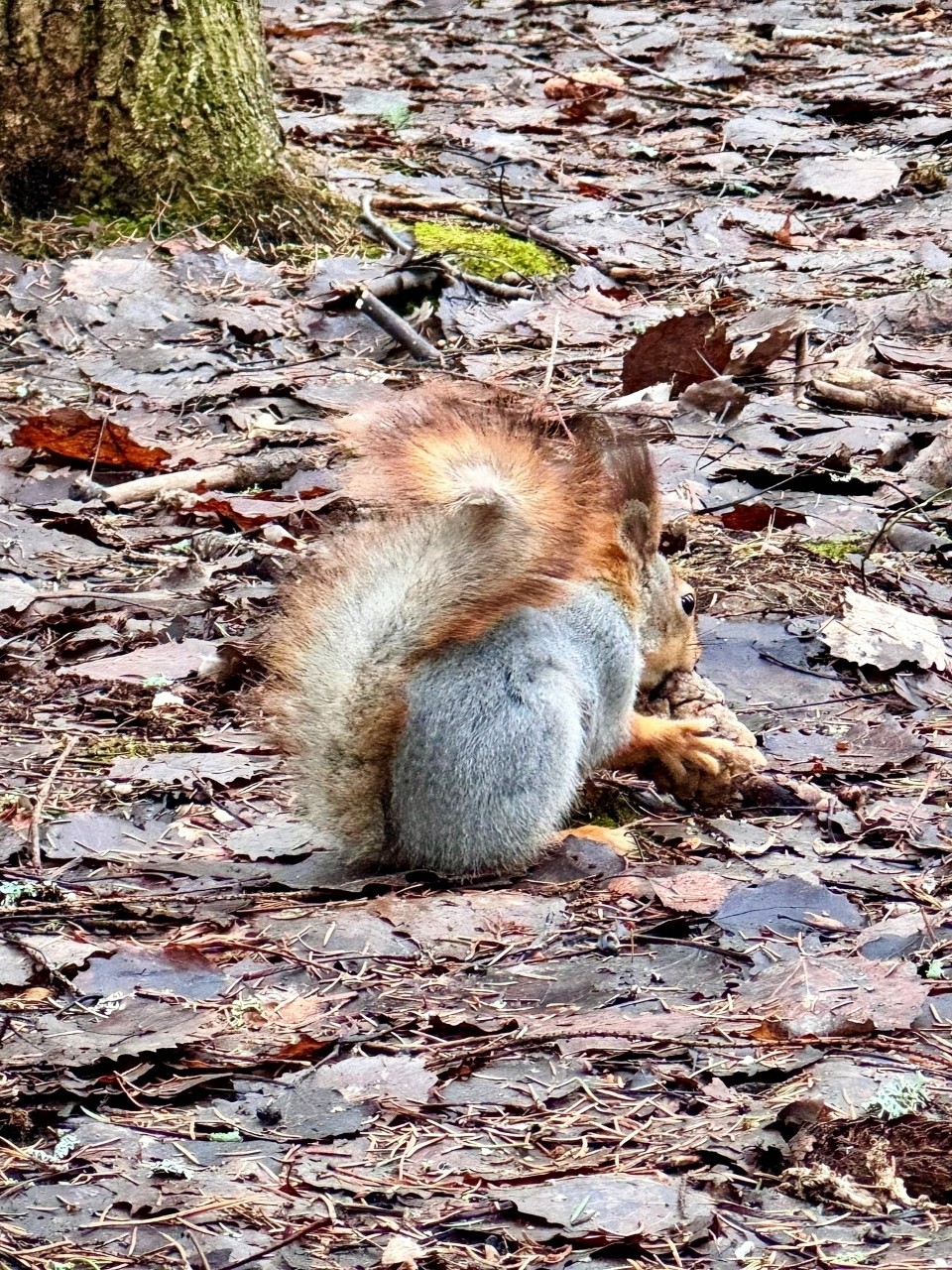 Виктор в LOOKY — фото 5