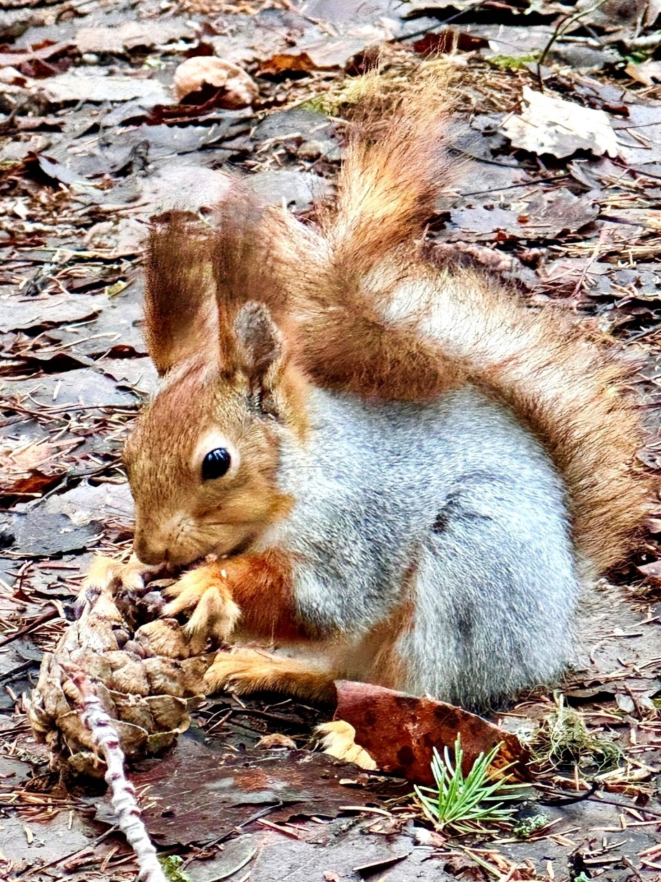 Виктор в LOOKY — фото 4