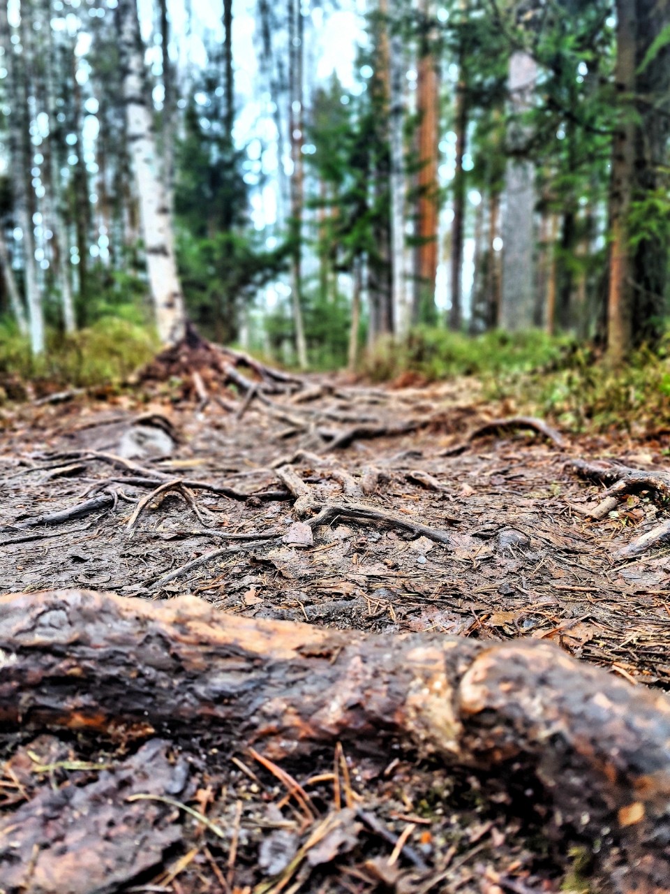 Виктор в LOOKY — фото 3