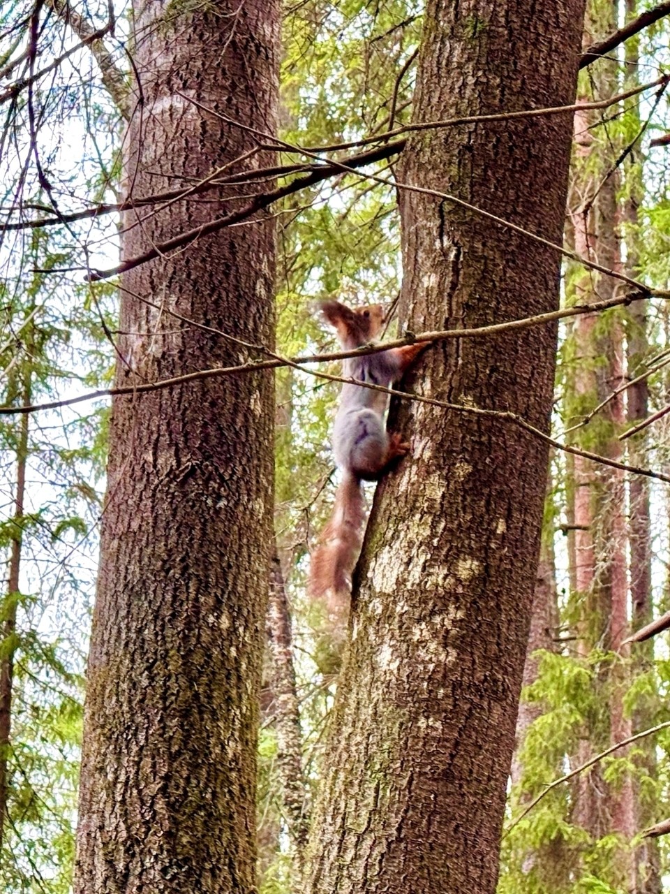 Виктор в LOOKY — фото 6