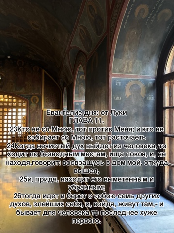 lyudmila_mishkoy в LOOKY. . 