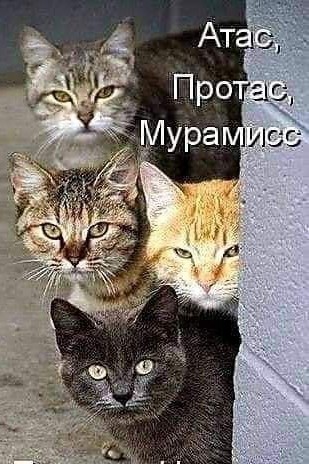 Сумеречный Сон в LOOKY — публикация