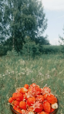 helga_oskr_ в LOOKY. . Что можно делать 9 и...