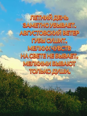 Looky_1690939111342 в LOOKY. . 