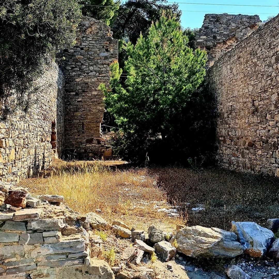GREEKSALAT в LOOKY — фото 7