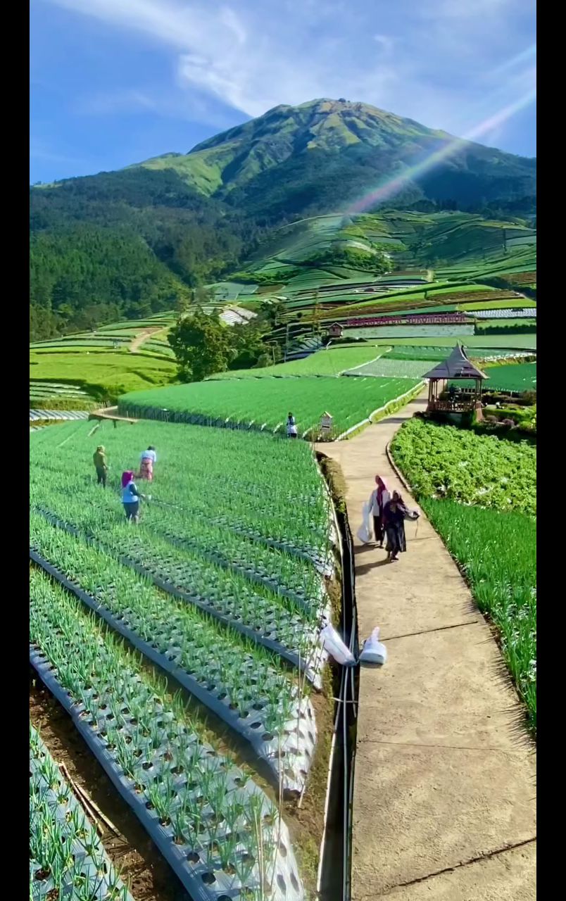 Alex в LOOKY. #lookyreels,#fyp. Garden.🇮🇩❤
#lookyr...