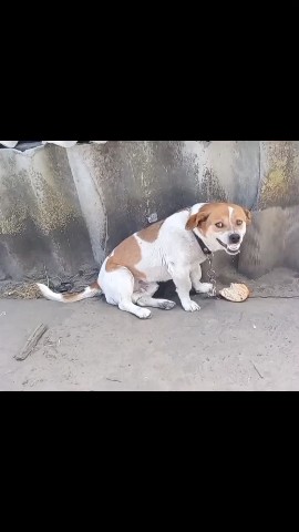 Катерина в LOOKY. . Макс.