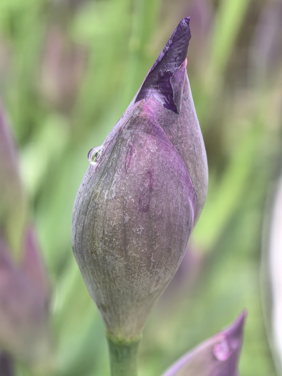 Kamenka в LOOKY — фото 5