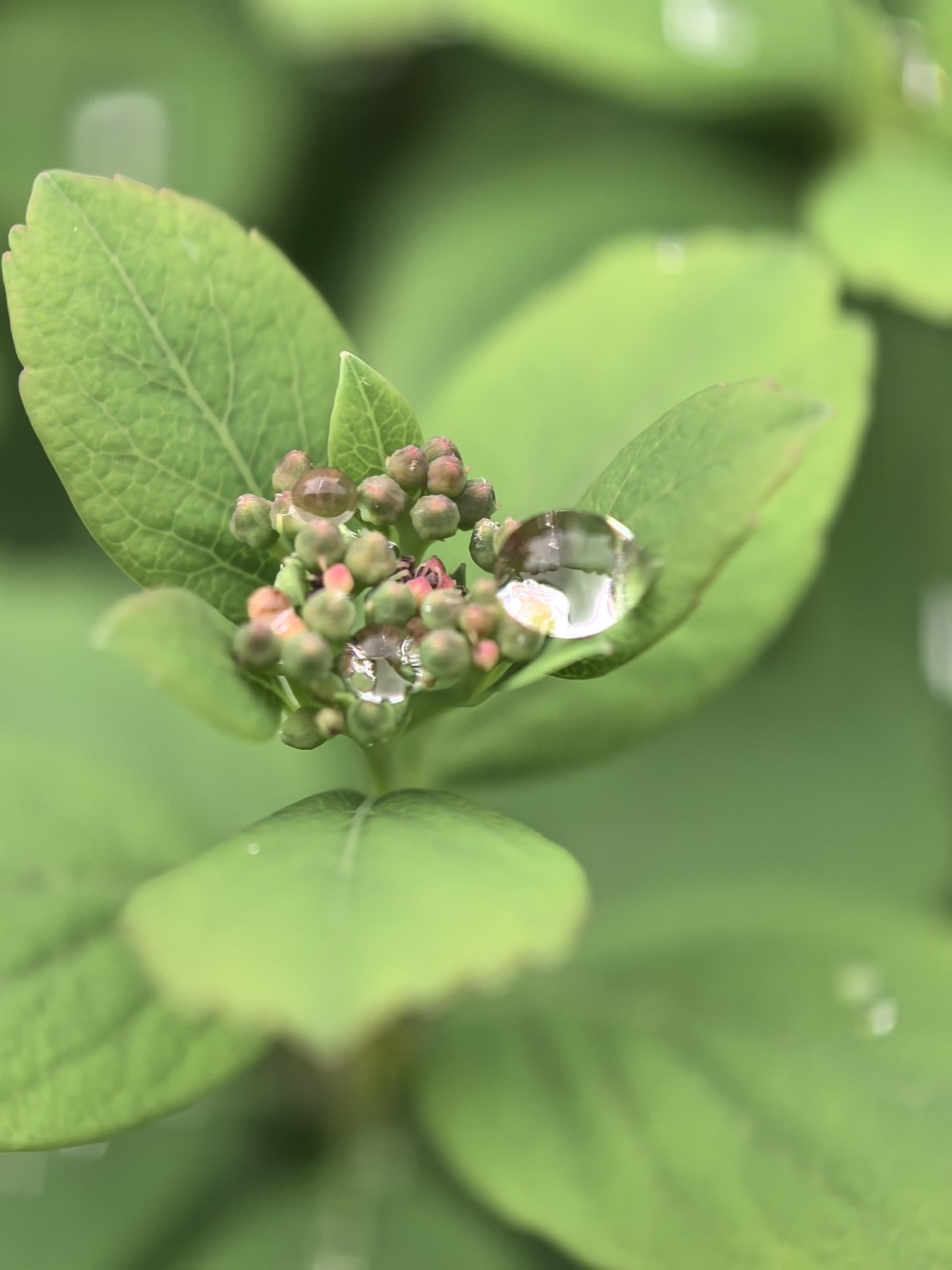Kamenka в LOOKY — фото 2