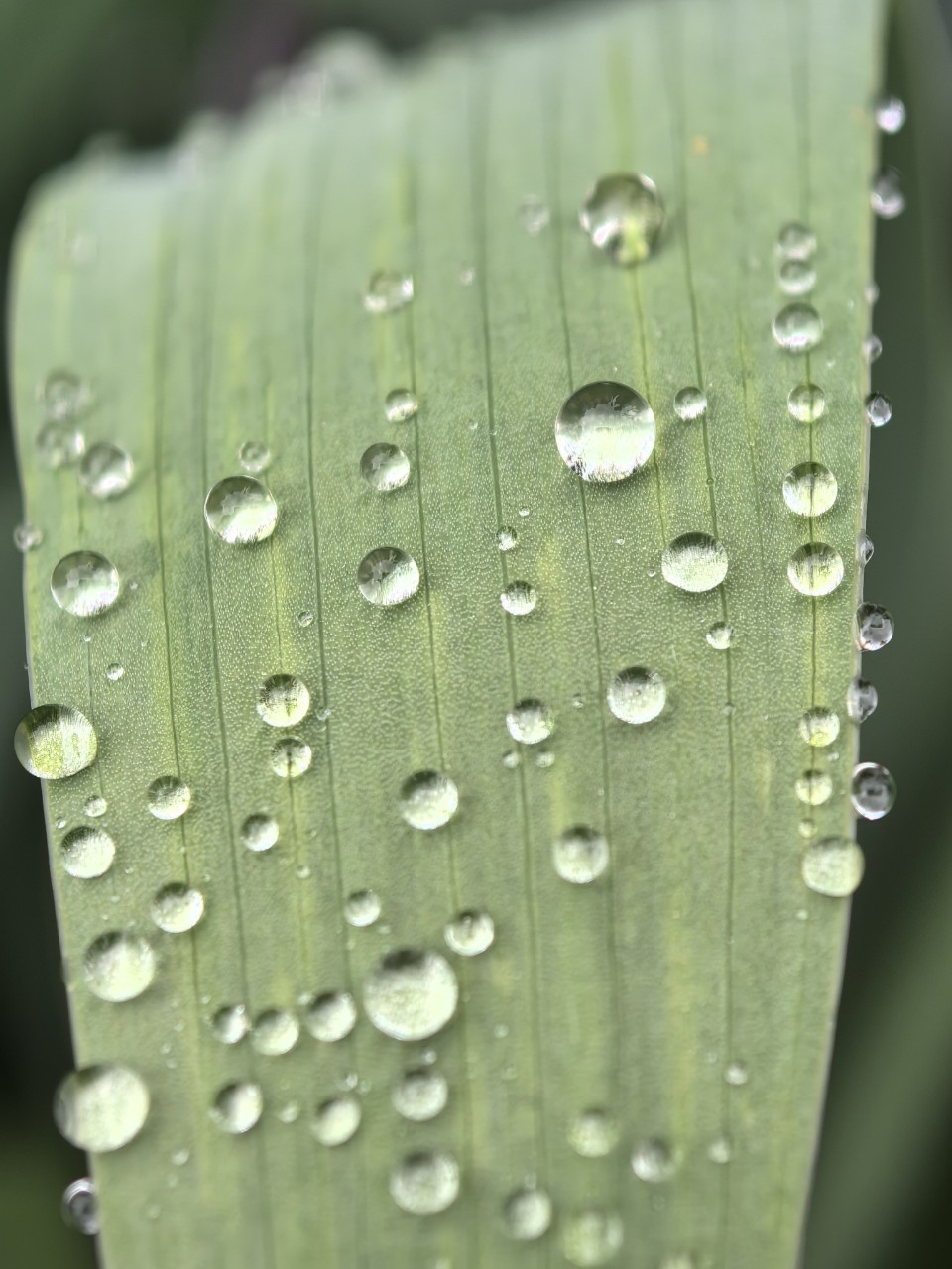 Kamenka в LOOKY — фото 3